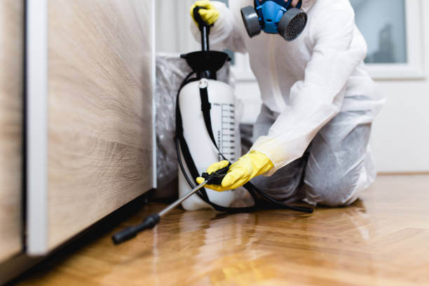 Best Bed Bug Extermination  in Seabrook, MD