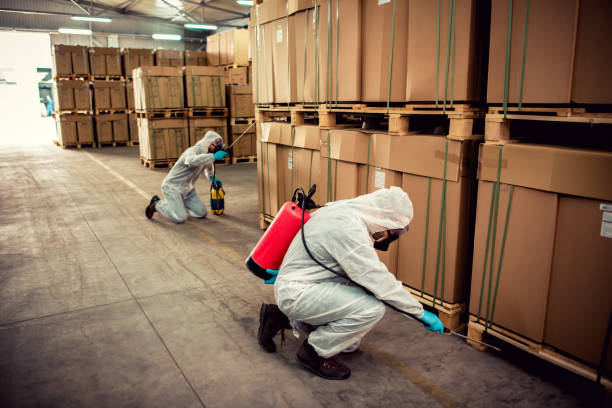 Best Flea Control Services  in Seabrook, MD