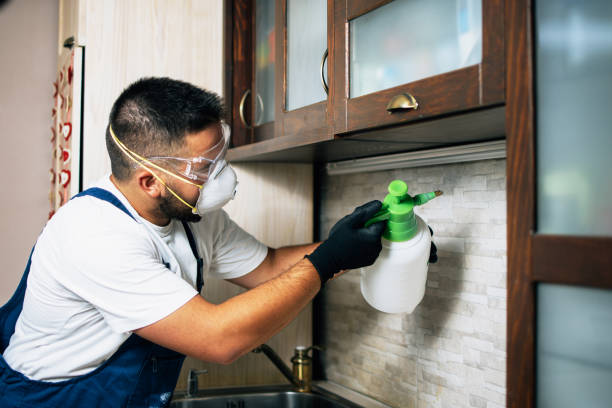 Seabrook, MD Pest Control Company