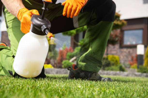 Best Insect Control  in Seabrook, MD