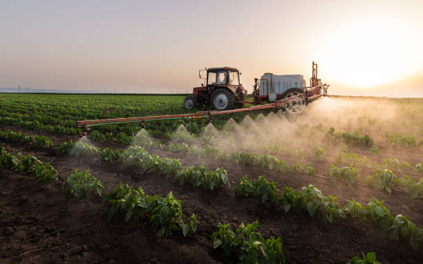 Best Commercial Pest Control Services  in Seabrook, MD