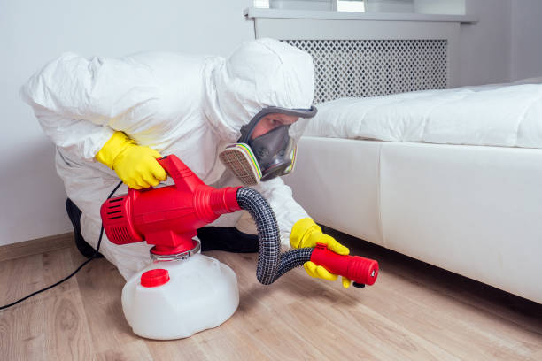 Best Best Pest Control Companies  in Seabrook, MD
