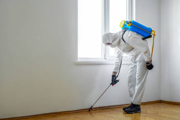 Best Wildlife Control Services  in Seabrook, MD