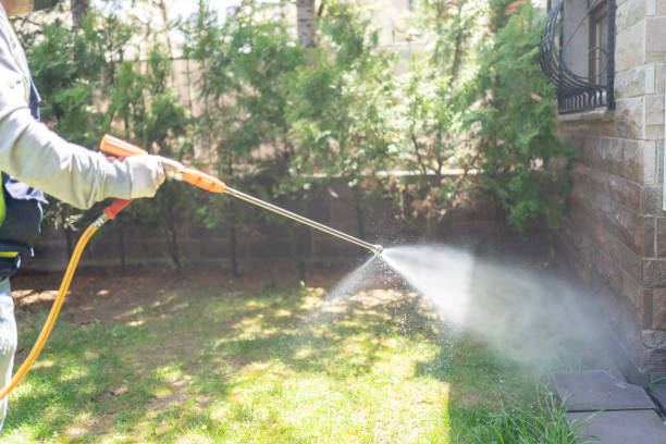 Best Affordable Pest Control Services  in Seabrook, MD