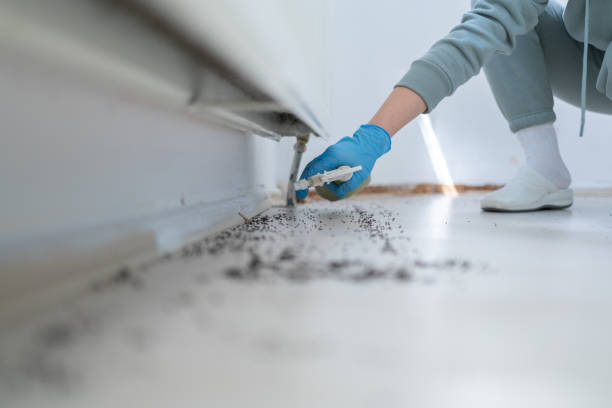 Best Emergency Pest Control  in Seabrook, MD