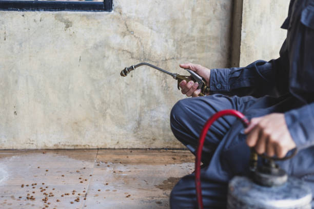 Best Exterminator Services  in Seabrook, MD