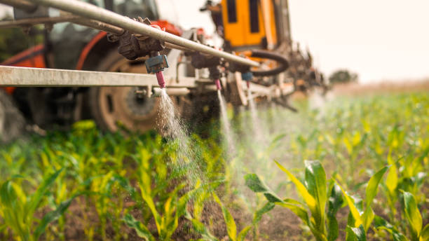Best Ant Control Services  in Seabrook, MD